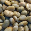 Zierkies, gelb poliert, gelb, poliert, 2-3 cm (60 Sack/Pal.)