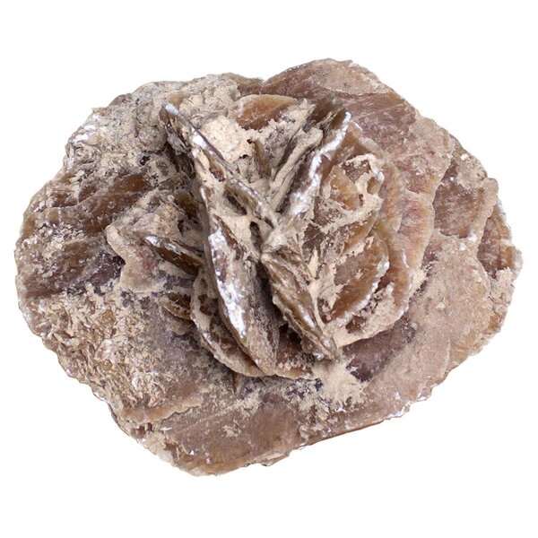 Dekostein, Sandrose, , natur, 10-20 cm (ca. 0,3 to./Rollgitter)