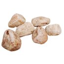 Dekostein, Firde Rock , , getrommelt, 10-20 cm (ca. 1,0...
