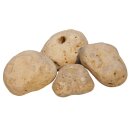 Dekostein, Travertin Moca, , getrommelt, 10-20 cm (ca....
