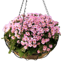 Dekorative Hängeampel Ø 25 cm - Elegante Deko...